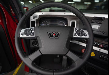 Steering Wheel and Controls